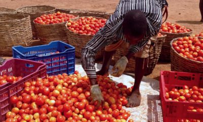 Nigeria inflation hits six-year high