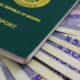 Nigerian International passport- Investors King