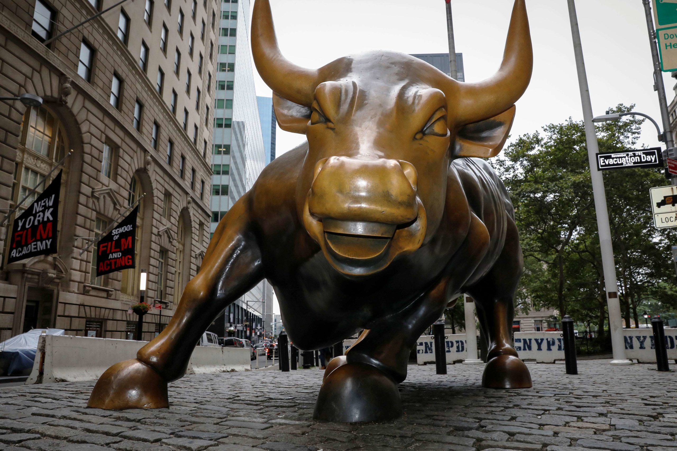 Stock bull - Investors King
