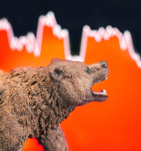 stock bear - Investors King
