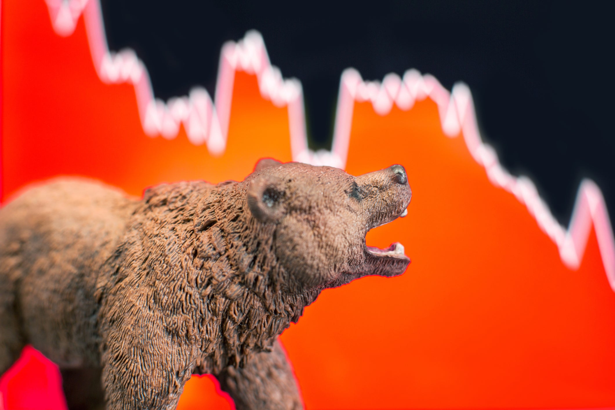 stock bear - Investors King