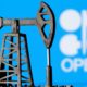 OPEC - Investors King