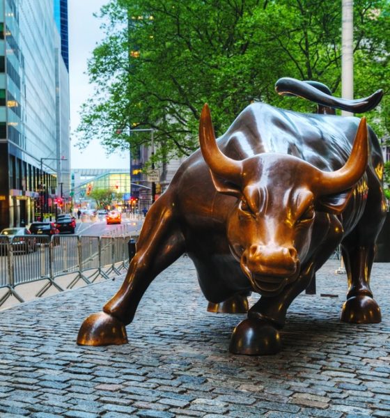 Stock Bull - Investors King