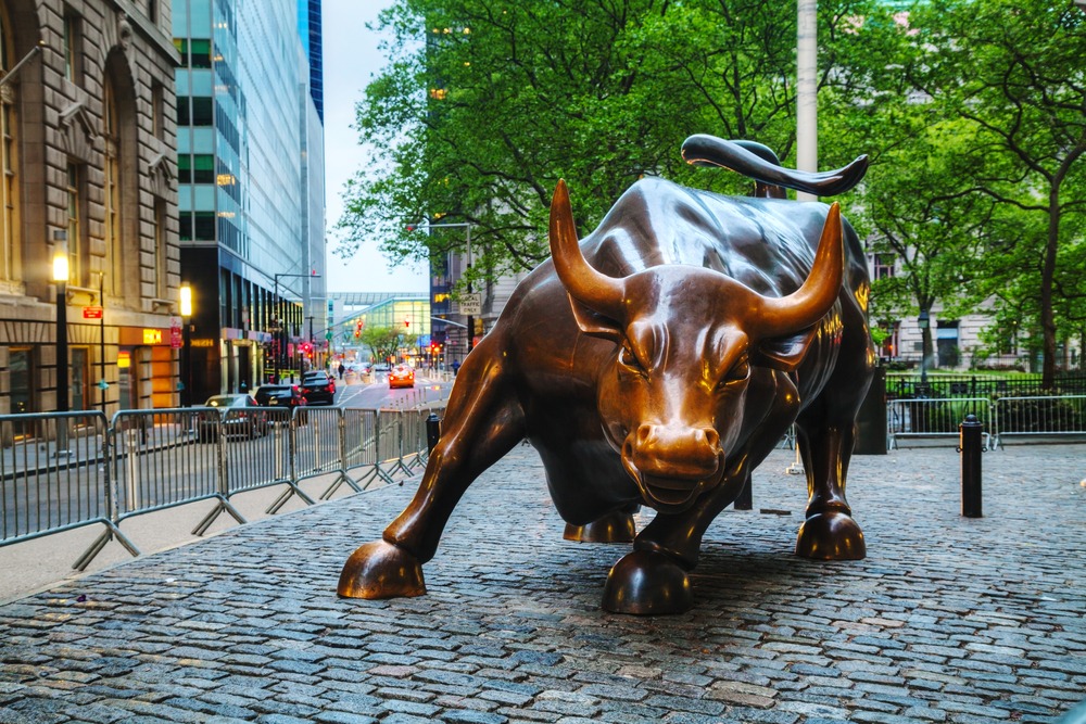 Stock Bull - Investors King