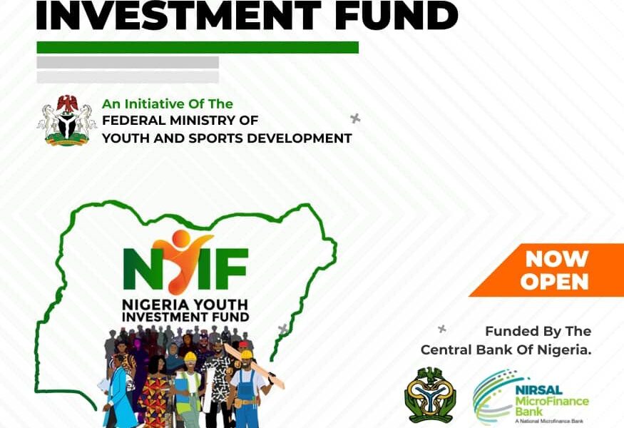 Over A Million Nigerian Youths Applied For N75 Billion Survival Fund Investors King 6945