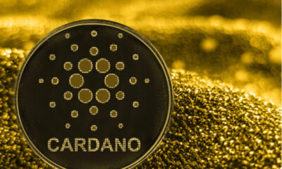 Cardano- Investors King