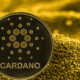 Cardano- Investors King