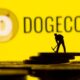 Dogecoin- Investors King