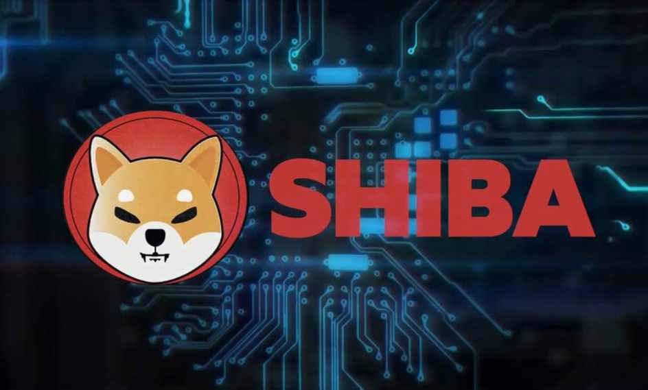 SHIB Coin- Investorsking