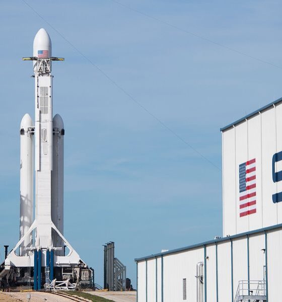 SpaceX- Investors King