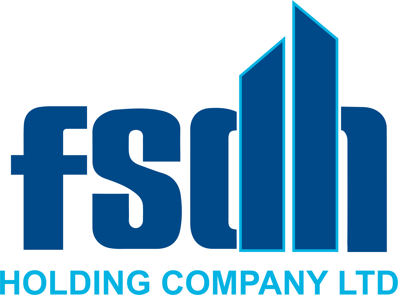 FSDH Group- Investorsking
