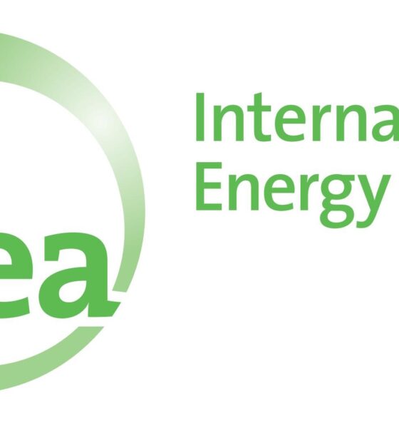 International Energy Agency (IEA)- Investors King