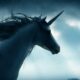 Unicorn- Investors Kings