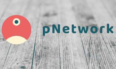 Pnetwork Protocol-Investors King