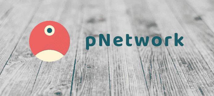 Pnetwork Protocol-Investors King