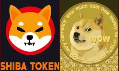 Shiba Inu and Dogecoin- Investors King