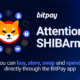 Bitpay Supports SHIB- Investors King