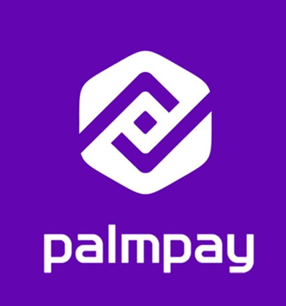 PalmPay