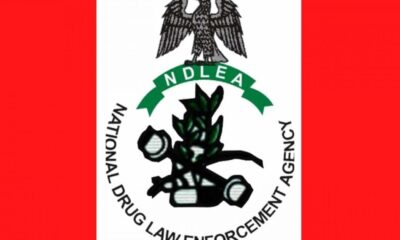 National Drug Law Enforcement Agency